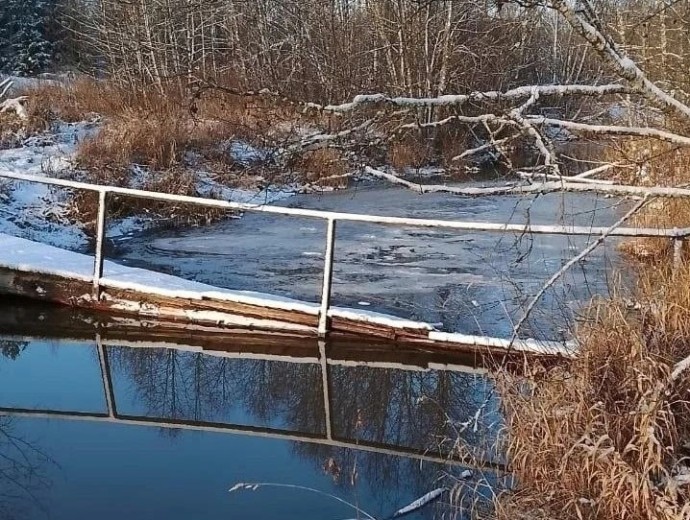 Михаил Евраев поручил восстановить пешеходный мост в деревне Прокунино Любимского округа