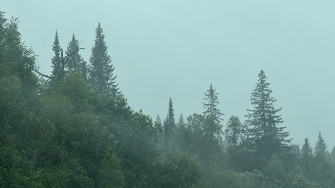 В Башкирии предупреждают об опасности