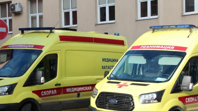 Пошел за березовым соком и встретил медведя: страшное ЧП в Башкирии