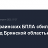 Пять украинских БПЛА сбили за ночь над Брянской областью