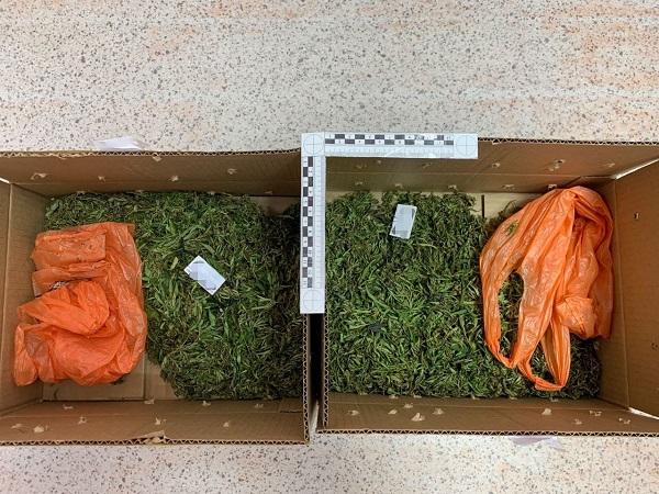 Улан-удэнцы собрали «травку» на берегу Селенги и заработали  по «уголовке»