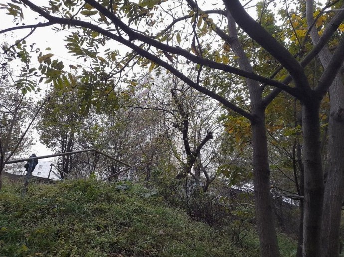 Синоптики назвали в преддверии морозов самый тёплый город Приморья