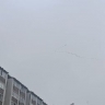 Стаю гусей сняли в небе над Благовещенском