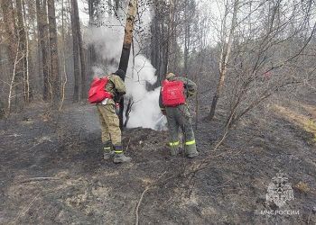 Амурские огнеборцы прибыли в Забайкалье для тушения природных пожаров