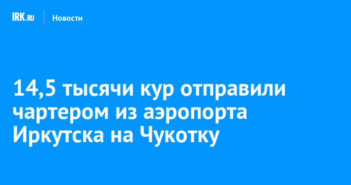 14,5 тысячи кур отправили чартером из аэропорта Иркутска на Чукотку 14,5 тысячи кур отправили чартером из аэропорта Иркутска на Чукотку