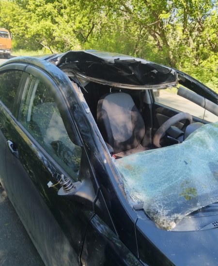 В Уфе лось попал под колеса автомобиля