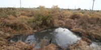 Андрей Спицын в четвертый раз избран омбудсменом Астраханской области
