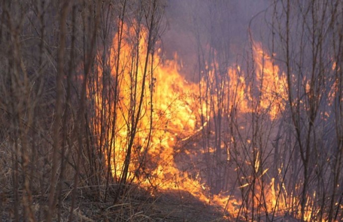 Приморье на пороге пожаров: установлен четвертый класс опасности Приморье на пороге пожаров: установлен четвертый класс опасности