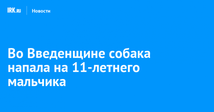 Во Введенщине собака напала на 11-летнего мальчика