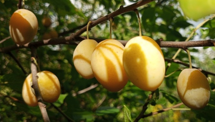 В Башкирии МЧС сообщило прогноз погоды