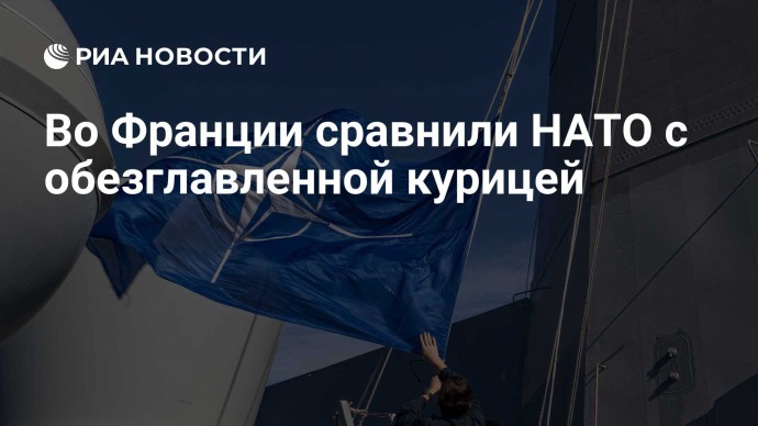 Во Франции сравнили НАТО с обезглавленной курицей