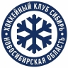 "Сибирь" крупно обыграла "Салават Юлаев" и сравняла счёт в серии