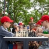 В Первомайском парке Благовещенска появилась шахматная площадка