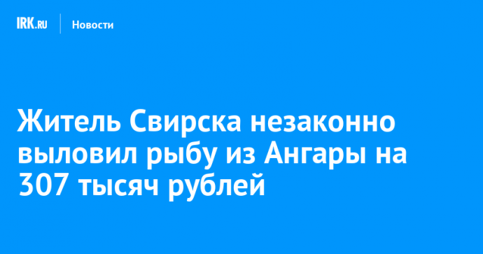 Житель Свирска незаконно выловил рыбу из Ангары на 307 тысяч рублей