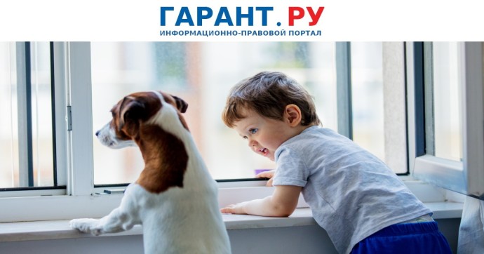 Количество домашних животных в российских квартирах предложили ограничить