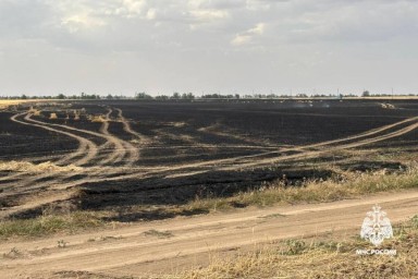 В Левокумском округе Ставрополья горит поле пшеницы