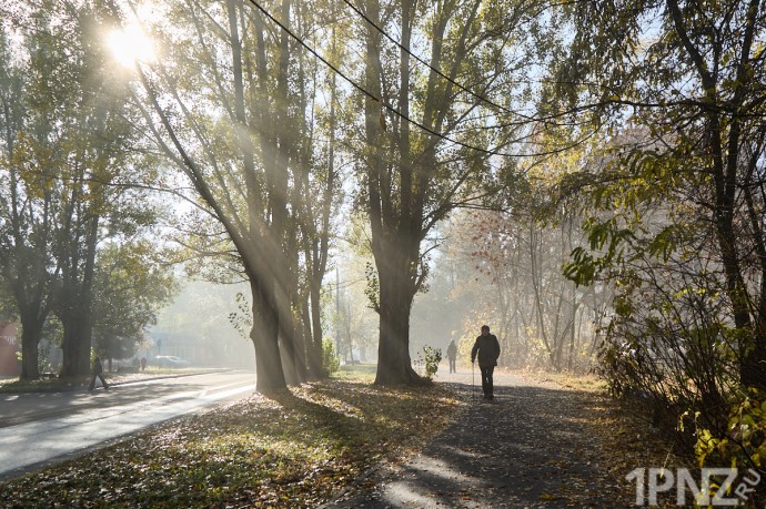 Пенза в тумане: гуляем по городу в условиях нулевой видимости – фоторепортаж 1pnz Пенза в тумане: гуляем по городу в условиях нулевой видимости – фоторепортаж 1pnz
