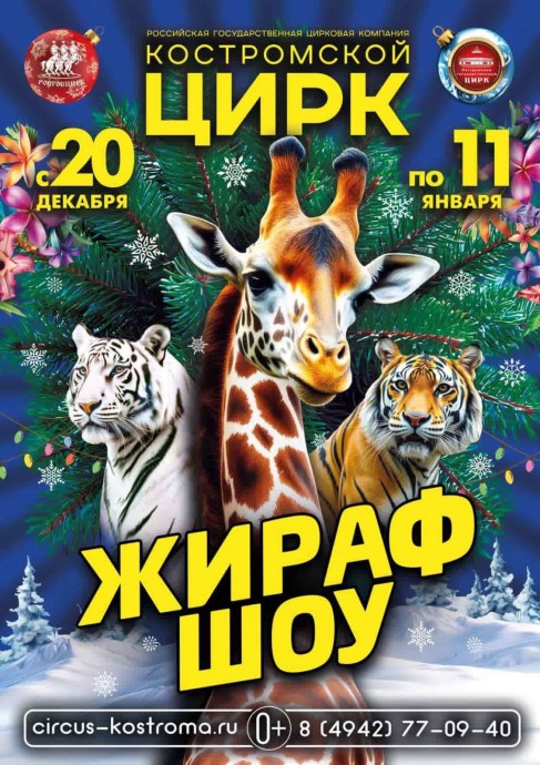 «Жираф-шоу, тигры, ловкие козлики»: костромичей приглашают на новую программу в цирке