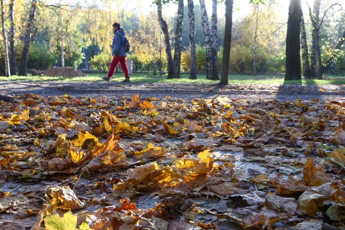Вильфанд сообщил, что заметное похолодание придет в Москву в понедельник Вильфанд сообщил, что заметное похолодание придет в Москву в понедельник