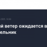 Сильный ветер ожидается в Москве в понедельник