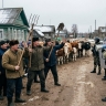 «Спасают вилами, а не лекарствами»: силовики и селяне сошлись в смертельной схватке из-за зараженного скота