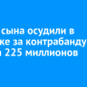 Отца и сына осудили в Иркутске за контрабанду леса на 225 миллионов рублей