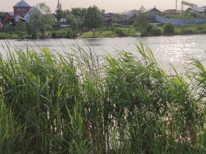 В Башкирии женщина утонула, спасая мальчика