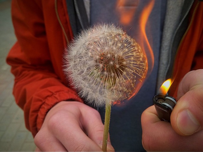 Костромская область ещё два дня будет ждать огня Костромская область ещё два дня будет ждать огня