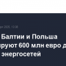 Страны Балтии и Польша инвестируют 600 млн евро для защиты энергосетей