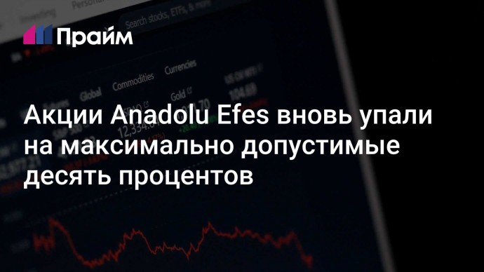 Акции Anadolu Efes вновь упали на максимально допустимые десять процентов