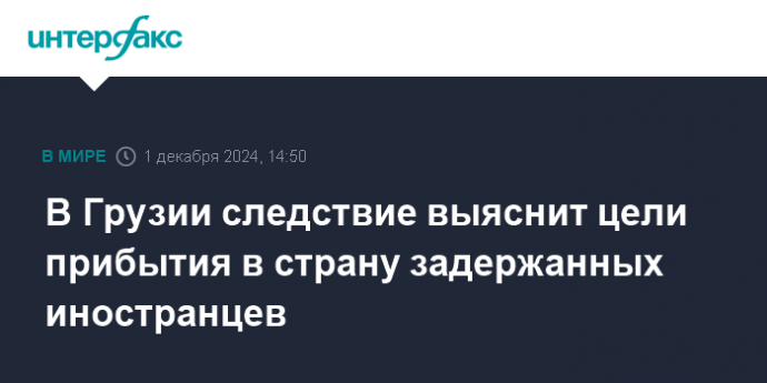 В Грузии следствие выяснит цели прибытия в страну задержанных иностранцев