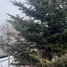 Первый снегопад в новом году прошел во Владивостоке