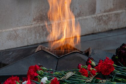 В Подмосковье нашли осквернителей Вечного огня
