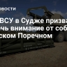 Удар ВСУ по Судже призван отвлечь внимание от событий в Русском Поречном