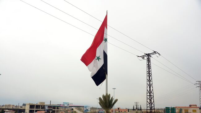 В Сирии назвали передислокацию войск за пределы Хамы временной мерой