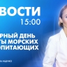 Новости Петербурга к 15:00