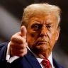 Трамп раскрыл сроки принятия решения о судьбе TikTok в США
