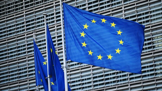 Эксперт: ЕС придется адаптироваться к новым геополитическим реалиям