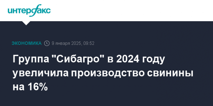 Группа "Сибагро" в 2024 году увеличила производство свинины на 16%