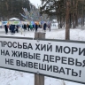 В Улан-Удэ верующих просят не вывешивать хии морины на деревья в лесу