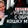 Чудо дня: спасение упавшей с обрыва в Ялте кошки Муси