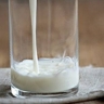Амурский врач-диетолог рассказала о пользе молочных продуктов