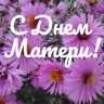 Жители Мордовии могут поздравить своих мам авторскими открытками...