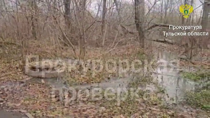 Канализационные стоки текут в Комсомольский парк города Донского