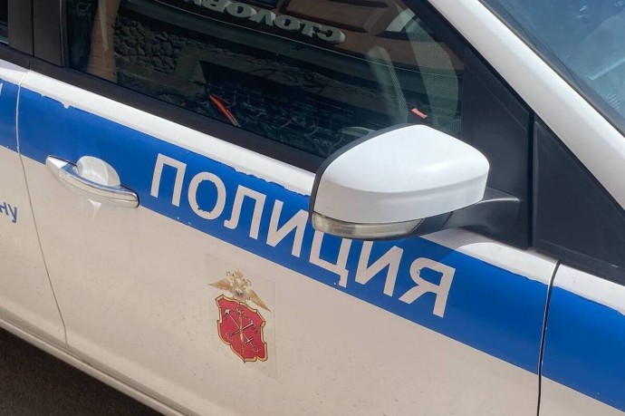 В Гатчинском районе задержали угонщика, находящегося в федеральном розыске