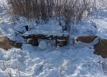 Жителей Муравьевского парка угощают солью в Приамурье