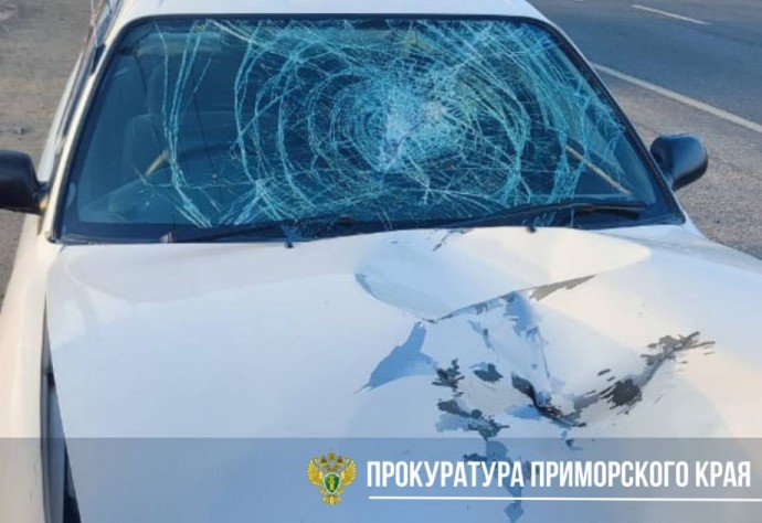 Обкуренный водитель насмерть сбил пешехода в Приморье