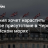 Британия хочет нарастить военное присутствие в Черном и Балтийском морях