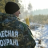 Библиотекари и лесничие: профессий для альтернативной службы станет больше