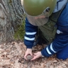 В Белгородской области ликвидировали два боеприпаса
